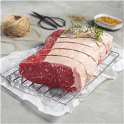 סינטה טרי חלק