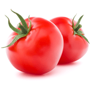 עגבניה