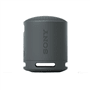 SRS-XB100B