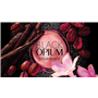 BLACK OPIUM א.ד.פ לאשה