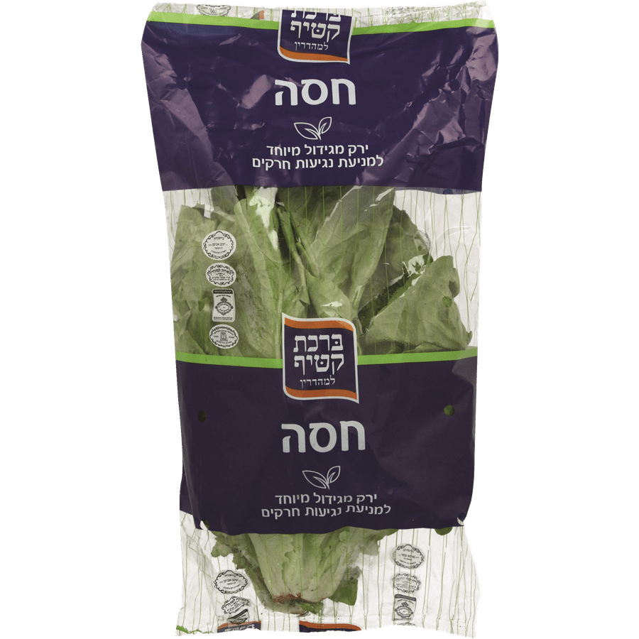 חסה מהדרין קטיף טרי