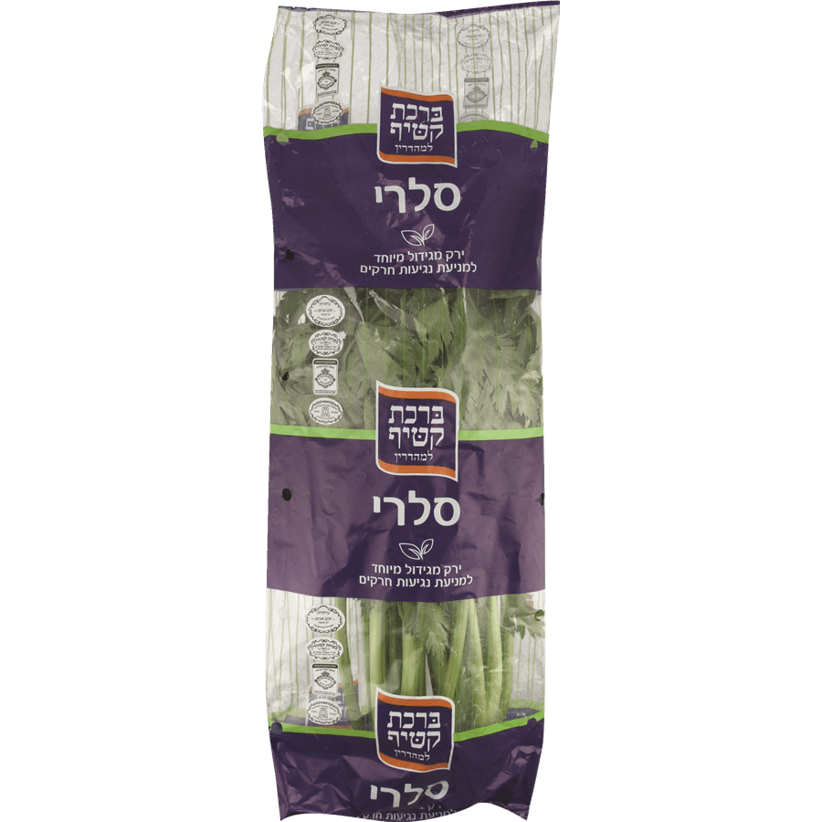 סלרי מהדרין קטיף טרי