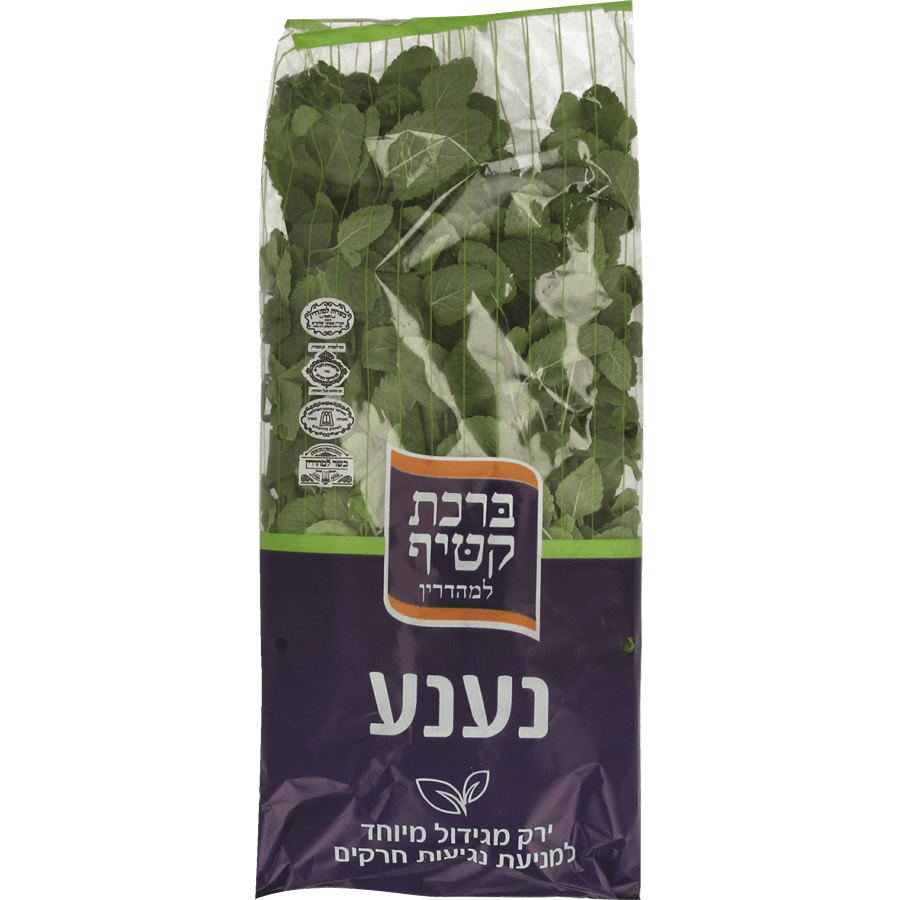 נענע מהדרין קטיף טרי