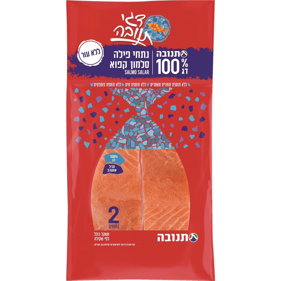 נתחי פילה סלמון קפוא