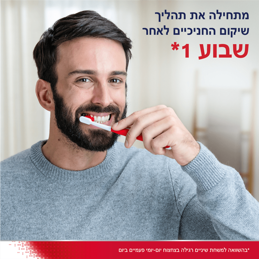 פרדונטקס שיקום חניכיים