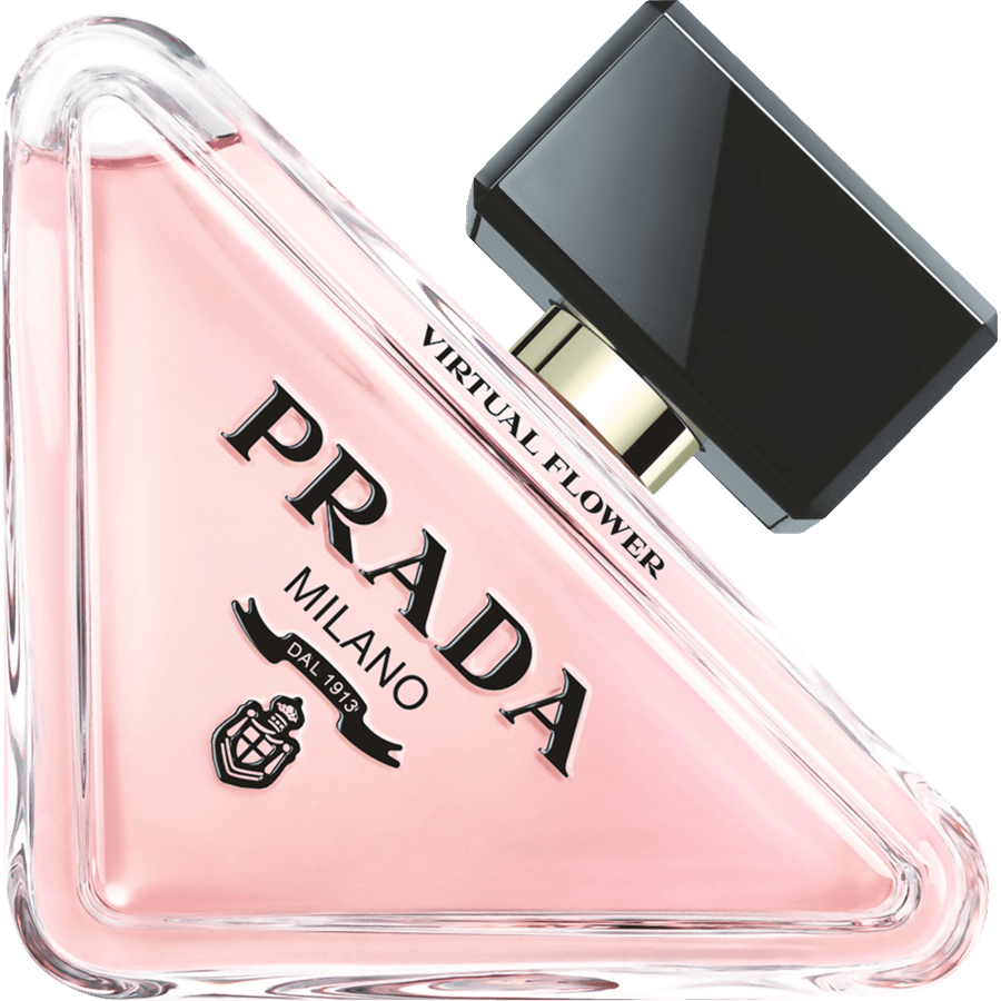 Paradoxe Virtual flower
