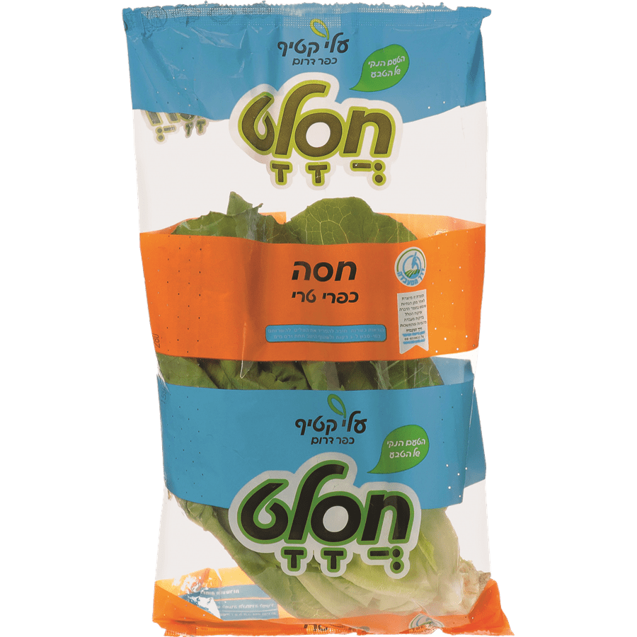 חסה ערבית (שקית ) חס