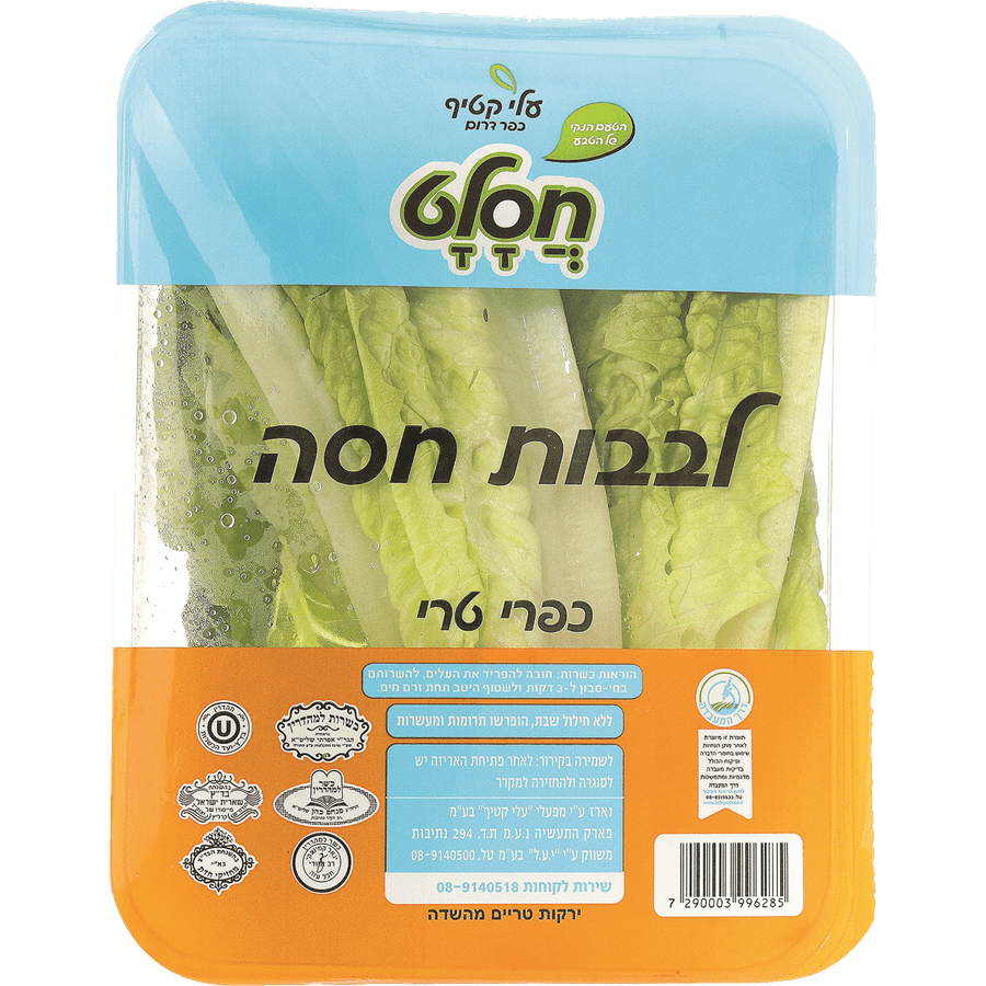 לבבות חסה קיסר מגשית