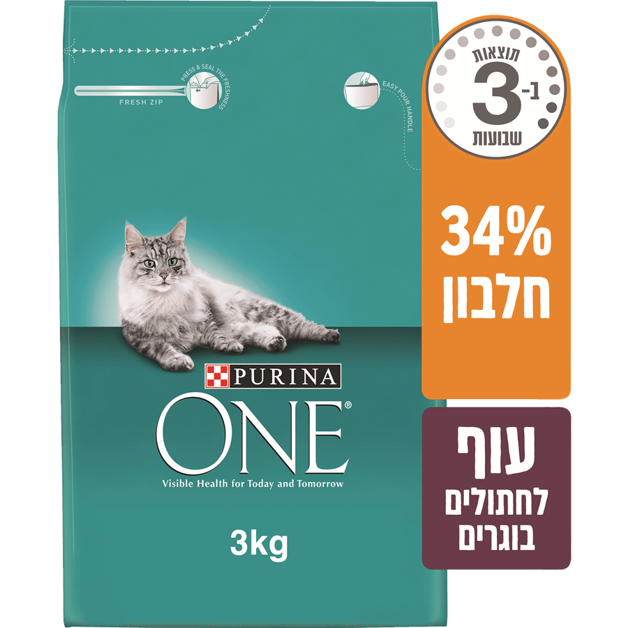 ONE עוף לחתול בוגר