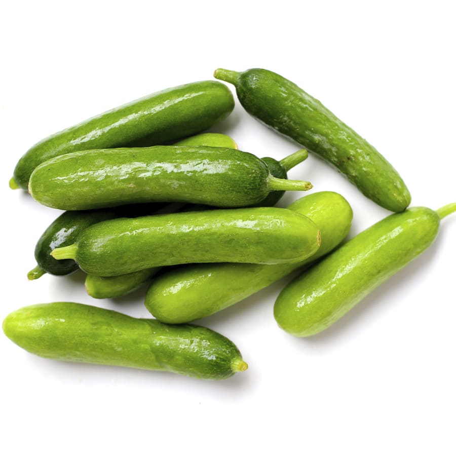 מלפפון בייבי יח