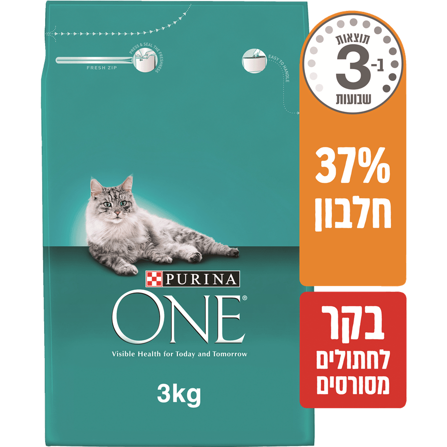 ONE בקר לחתול מסורס