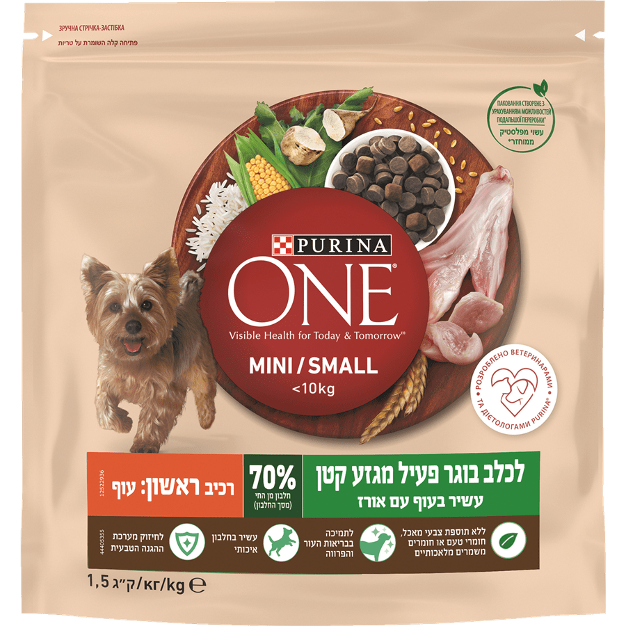 one לכלב קטן עוף