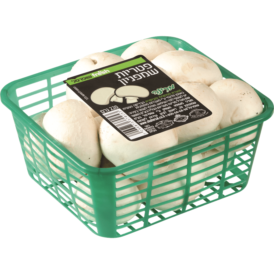 פטריות שמפיניון ליח 