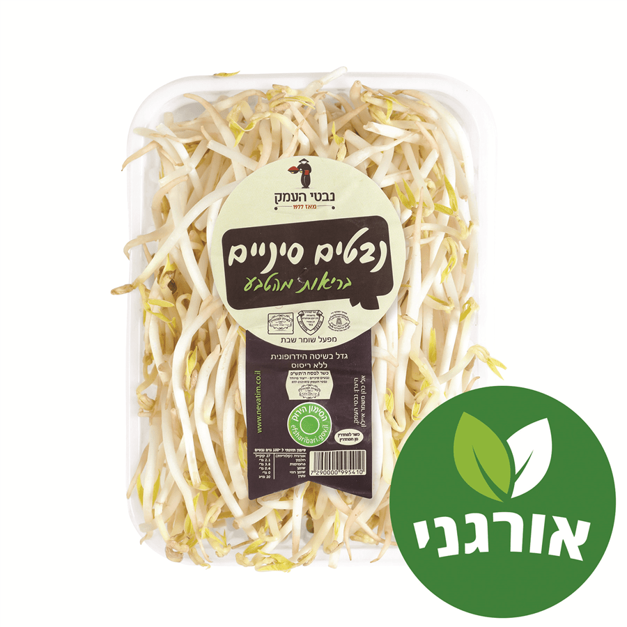 נבטים סינים