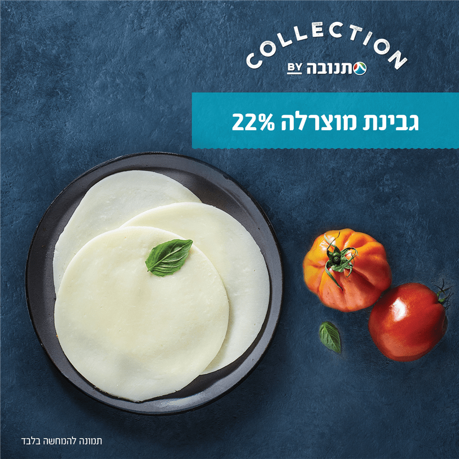 מוצרלה חריץ במשקל 20