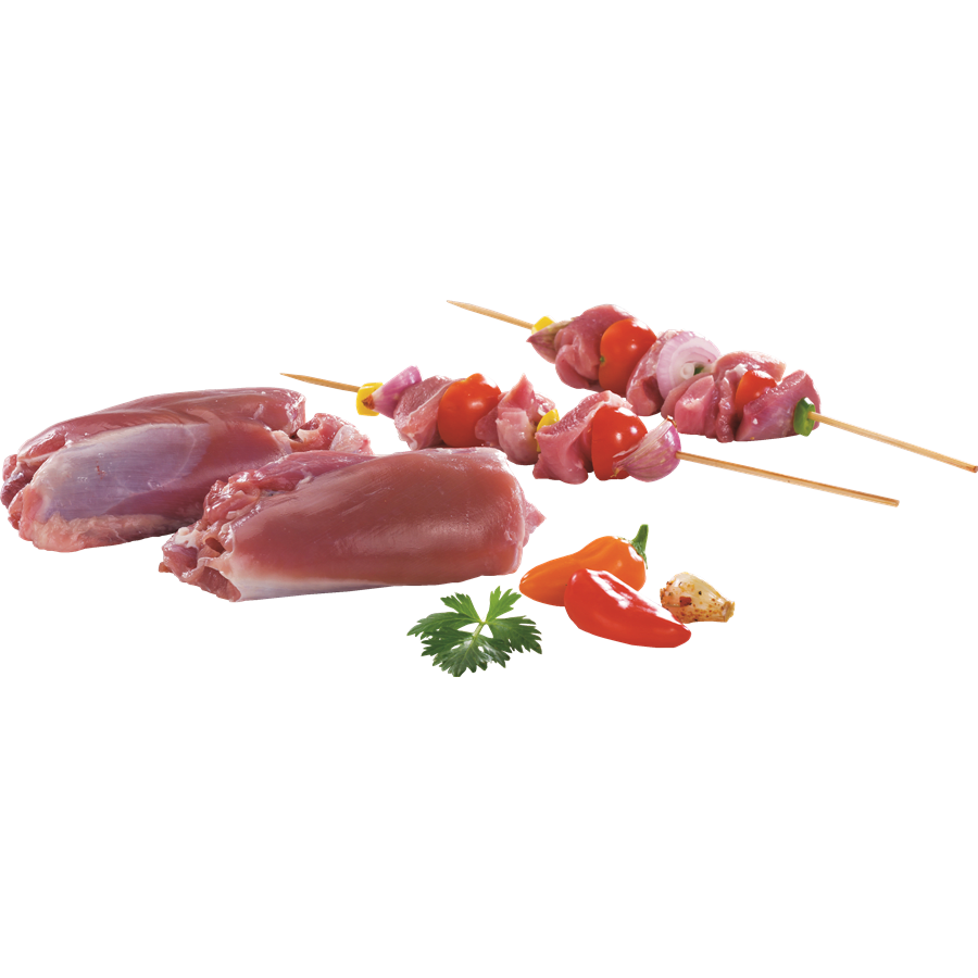 שווארמה הודו נקבה טרי