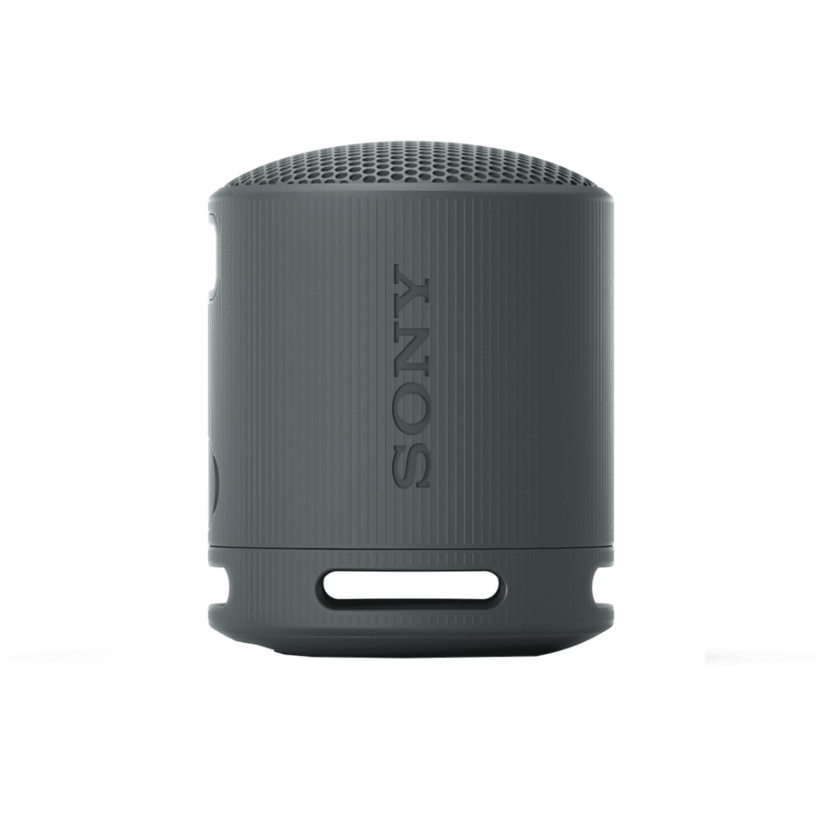 SRS-XB100B