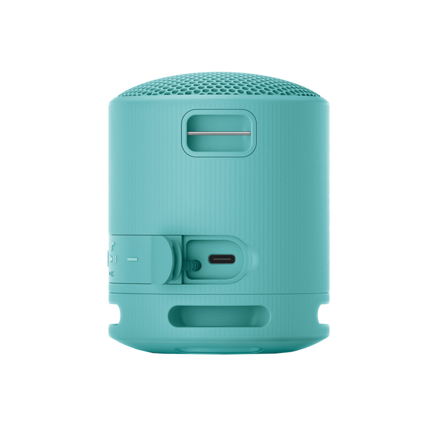 SRS-XB100L
