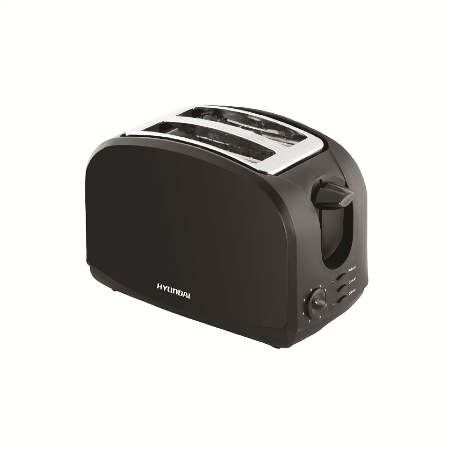 מצנם 2 פרוסות