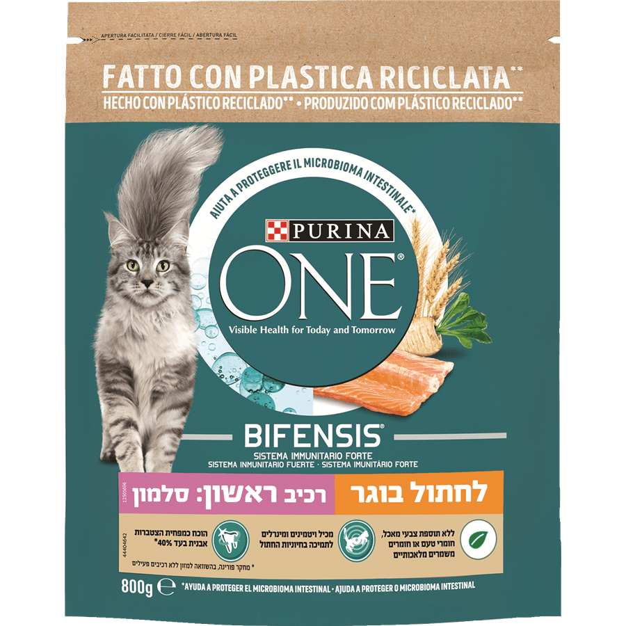 oneאוכל לחתול בוגר סלמון