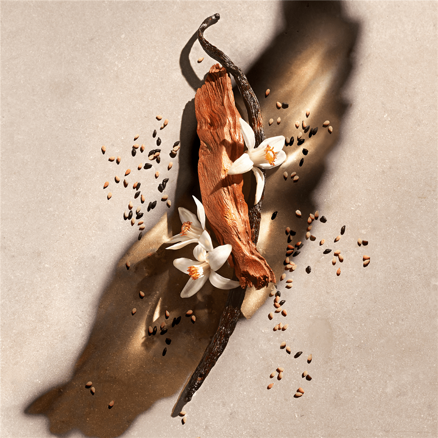 ZADIG א.ד.פ לאישה