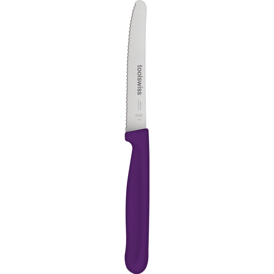 סכין ר"ש TOOLSWISS