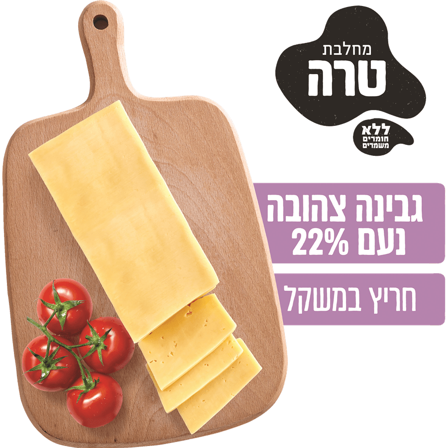 נעם גבינה צהובה 22% במשקל