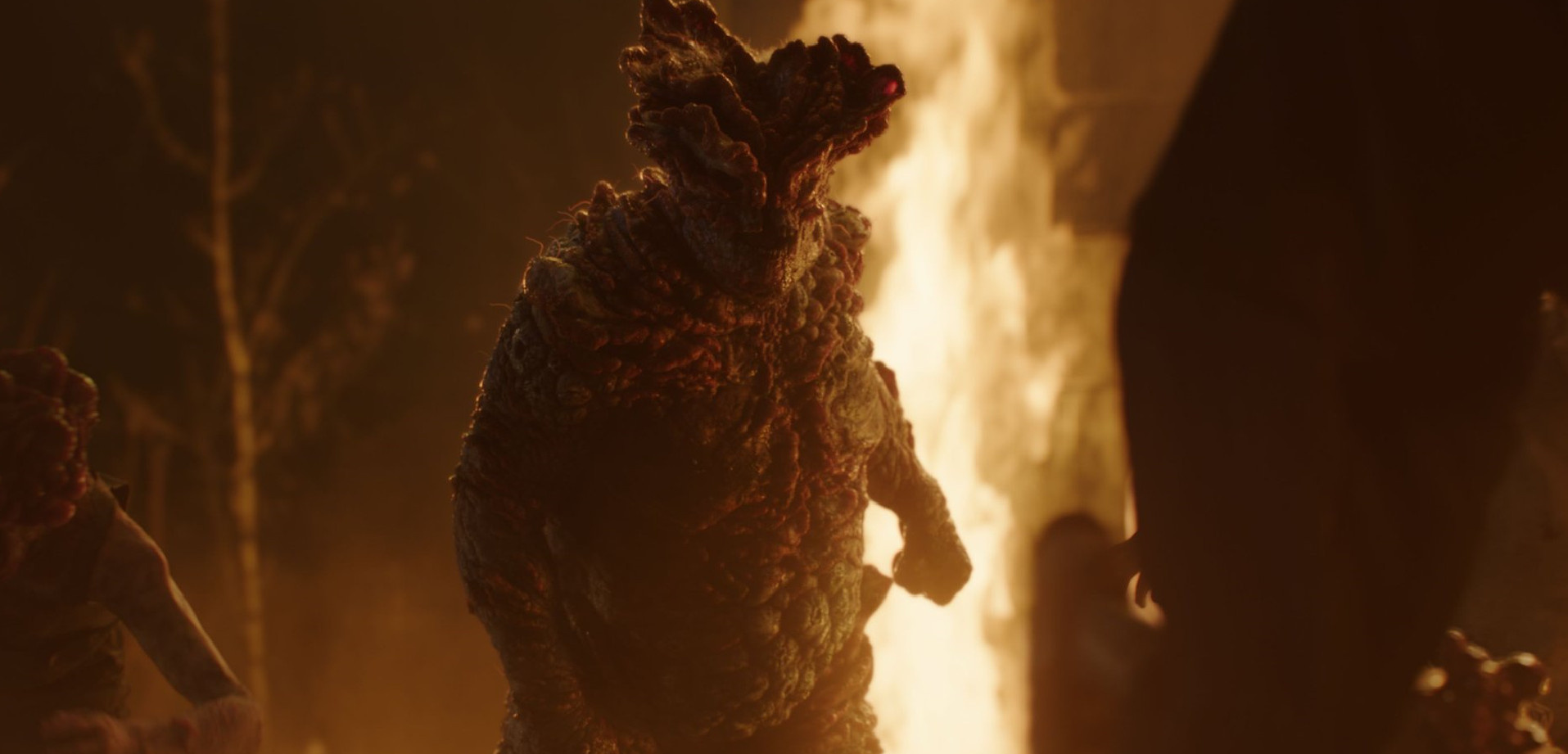 Při natáčení seriálu The Last of Us je zakázáno vyslovovat slovo "zombie"