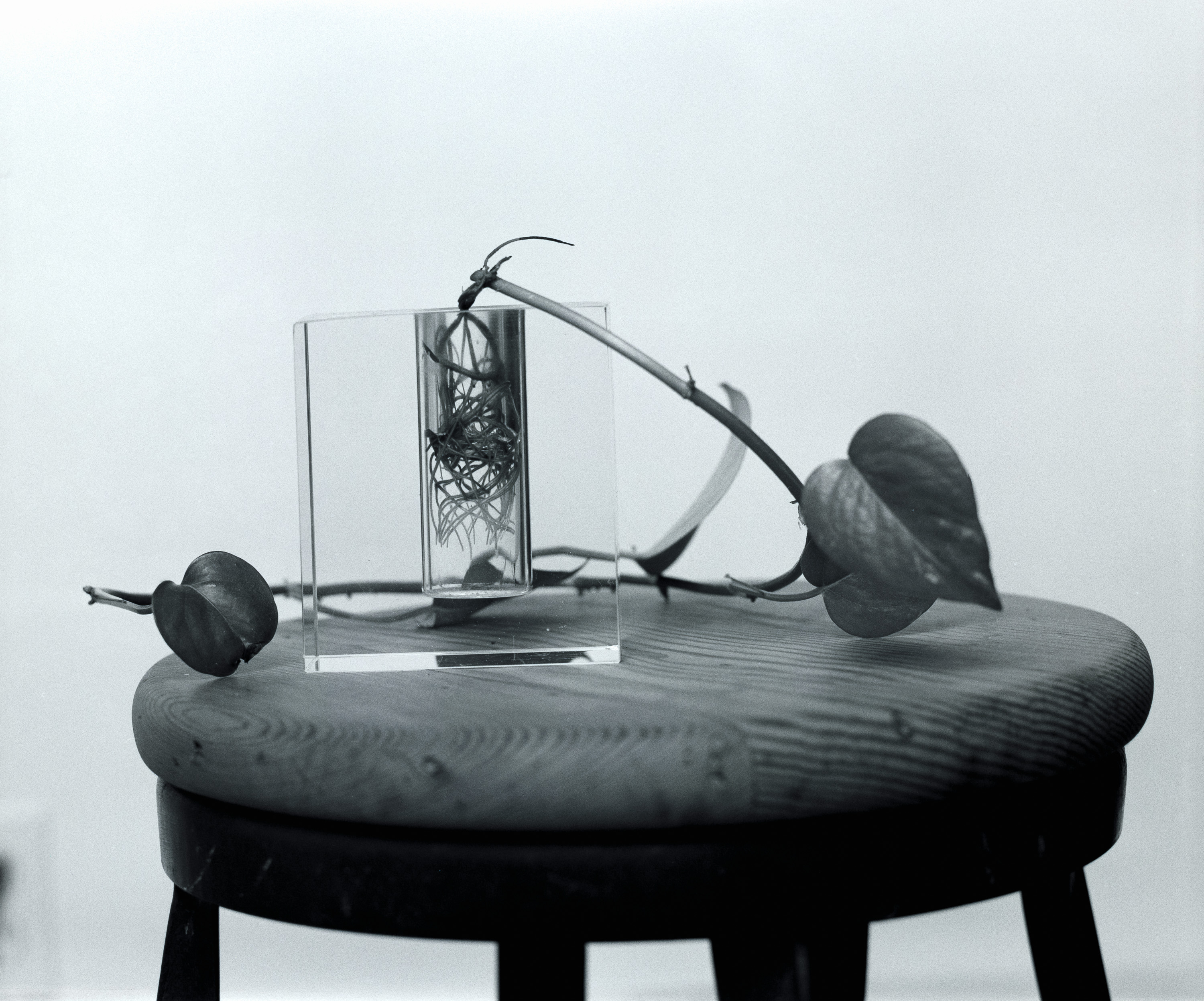 placeholder image alt