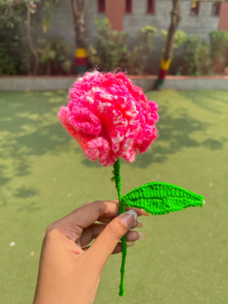 Carnation CUTIES thumbnail 2