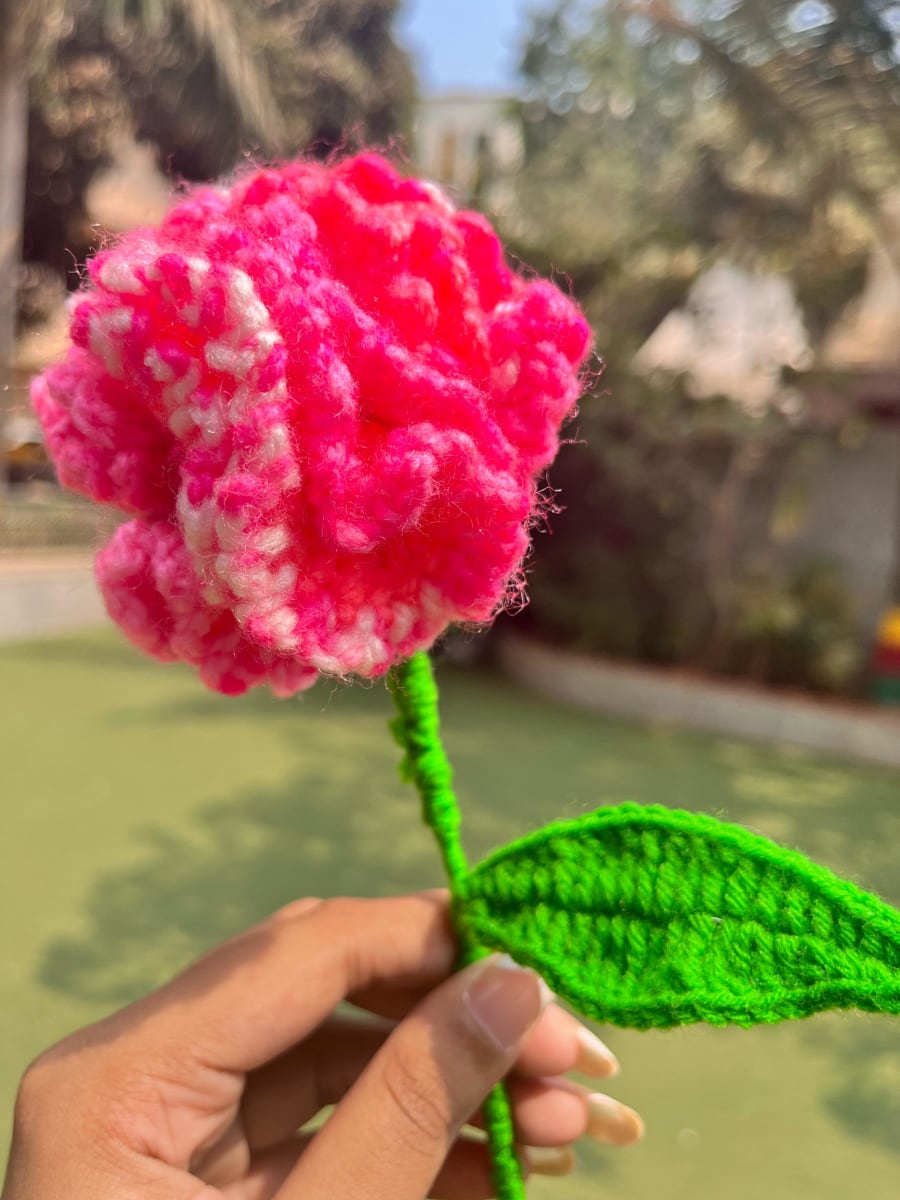 Carnation CUTIES thumbnail 3
