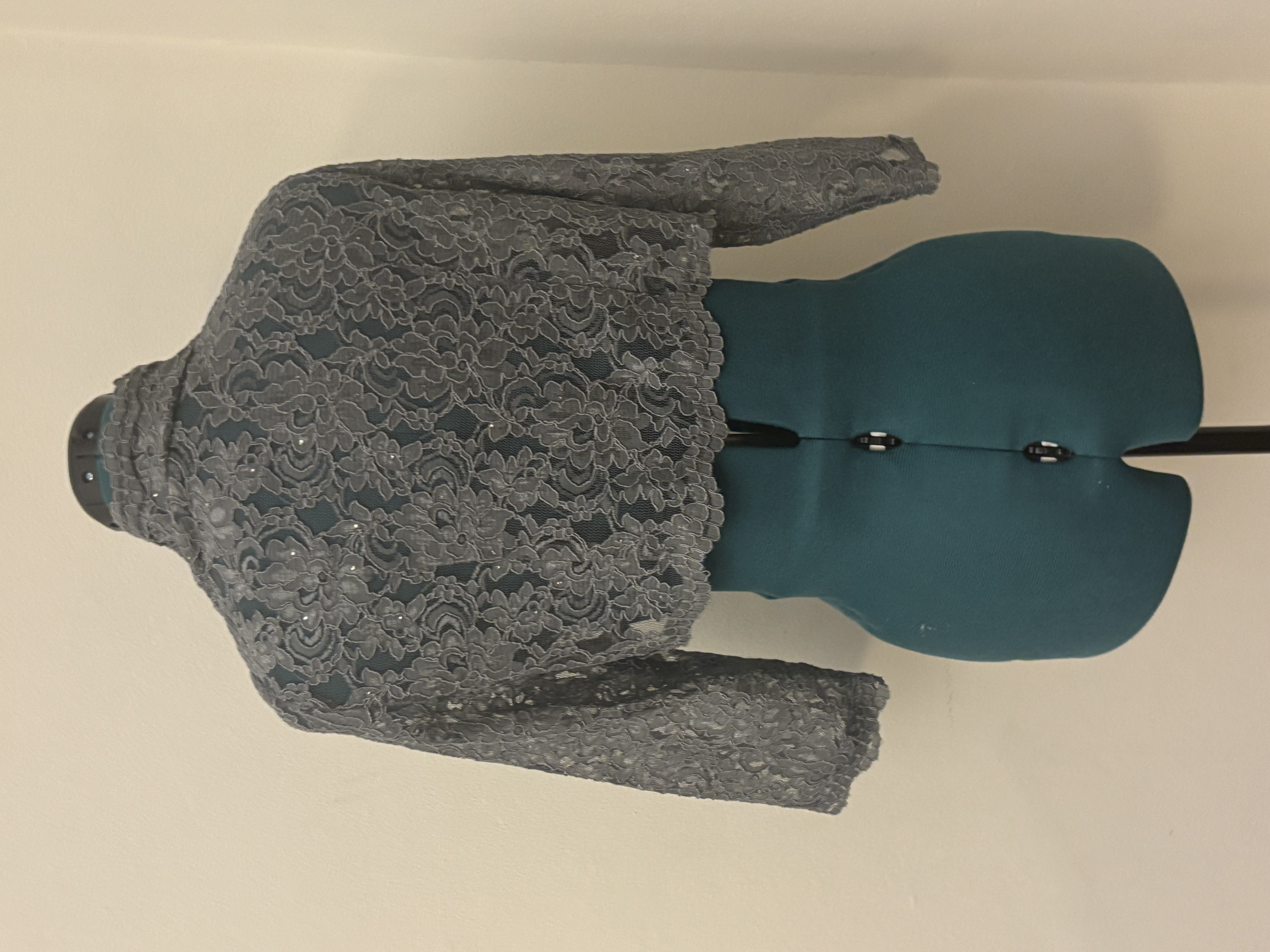 Silver Lace Embellished Gown & Bolero
