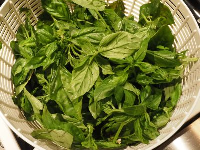 Basil Washed and Dried