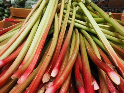 Fresh Rhubarb at the Farm Stand