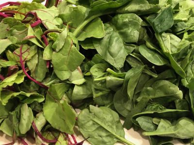 Baby Spinach and Baby Beet Greens