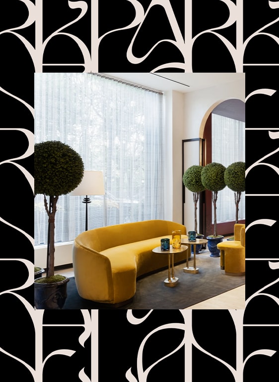 Park Lane Hotel interior with elegant couch against backdrop of window featuring Central Park 