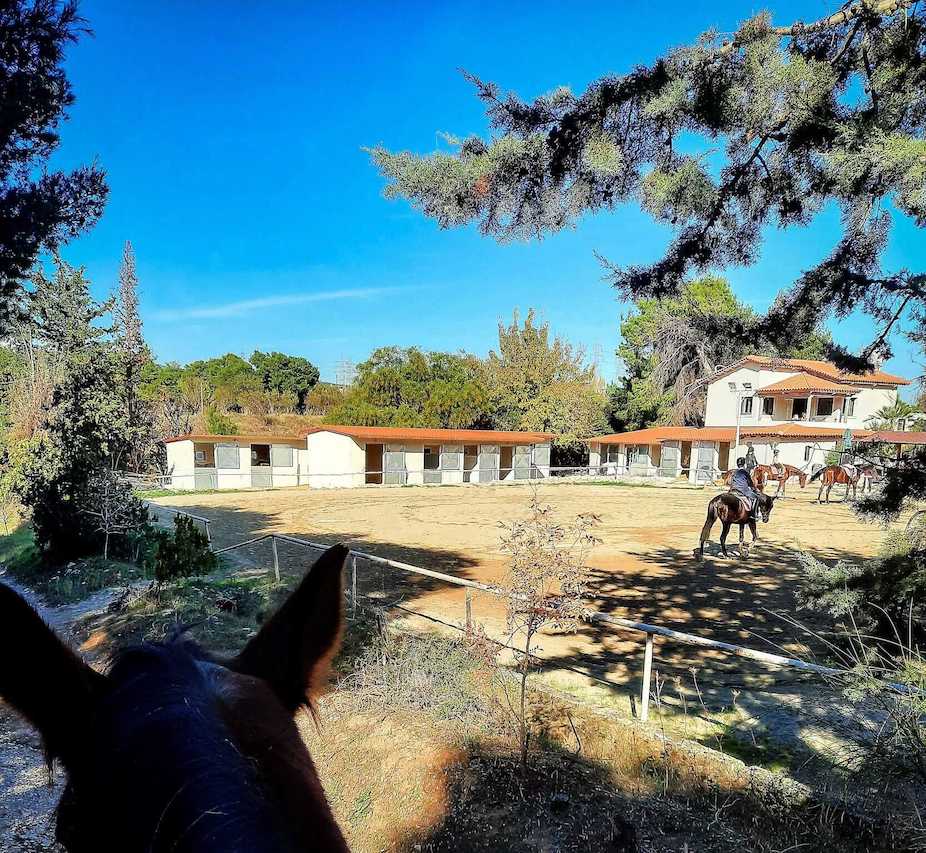 Σχολή ιππασίας Εκάλης στην Άνοιξη