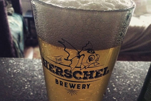 Herschel the Goldfish Pint Glass