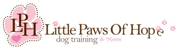LittlePawsOfHope Dog Training, Daycare, Lodging, & Spa, Westbury, , NY