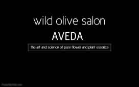 Wild Olive Salon 553 Reviews 1715 Country Club Rd