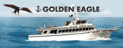 Golden Eagle Fishing 801 Reviews 905 Hwy 35 Belmar Nj