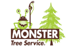 Monster Tree Service Of Plano 502 Reviews 15922 Eldorado Pkwy Frisco Tx Phone Number
