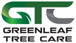 Greenleaf Tree Care, Brooklyn , , NY