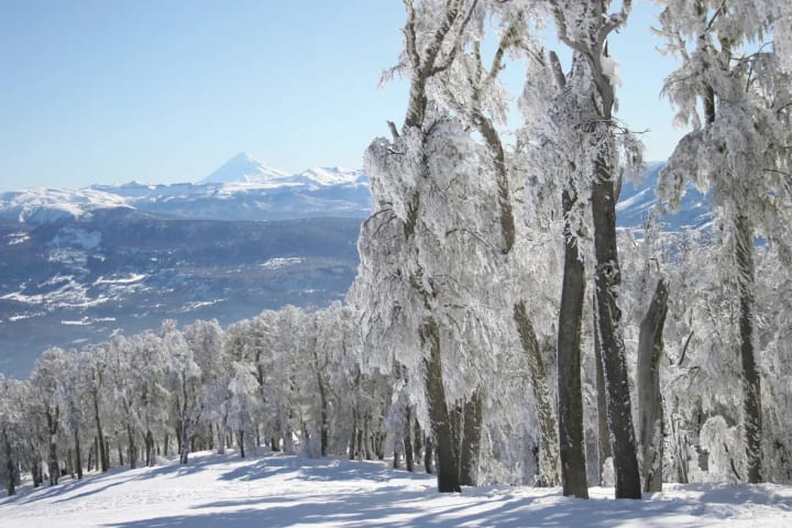 Árboles cubiertos de nieve en el cerro Chapelco, con el volcán Lanín al fondo