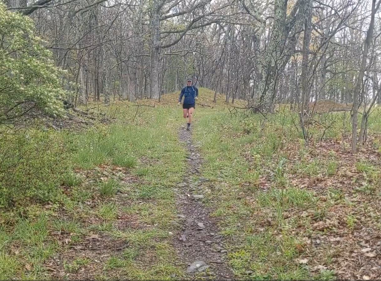 North Fork Mountain Trail: One Runner's Long-Overdue Solo FKT, by Brynn  Cunningham