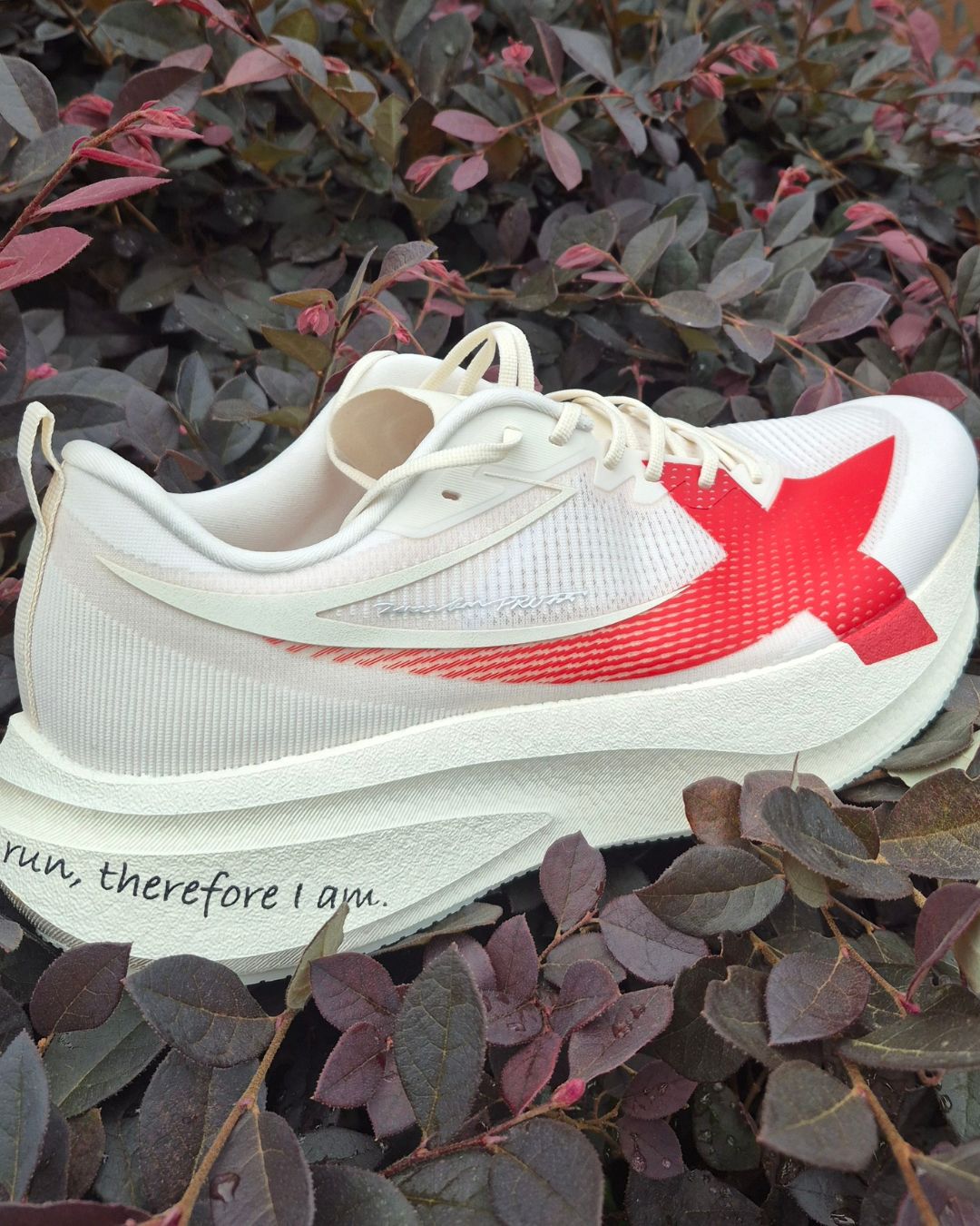 Best Affordable Performance Running Shoes: 12 Budget Shoes Tested - “Out of all of the shoes I have run in on this series, the XTEP 2000KM 5 Pro may actually have the best value proposition for cost spent.” -Scott