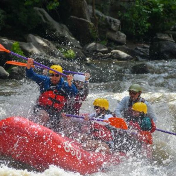 Laurel Highlands Ultra: How to Run With Your Tribe + WIN!