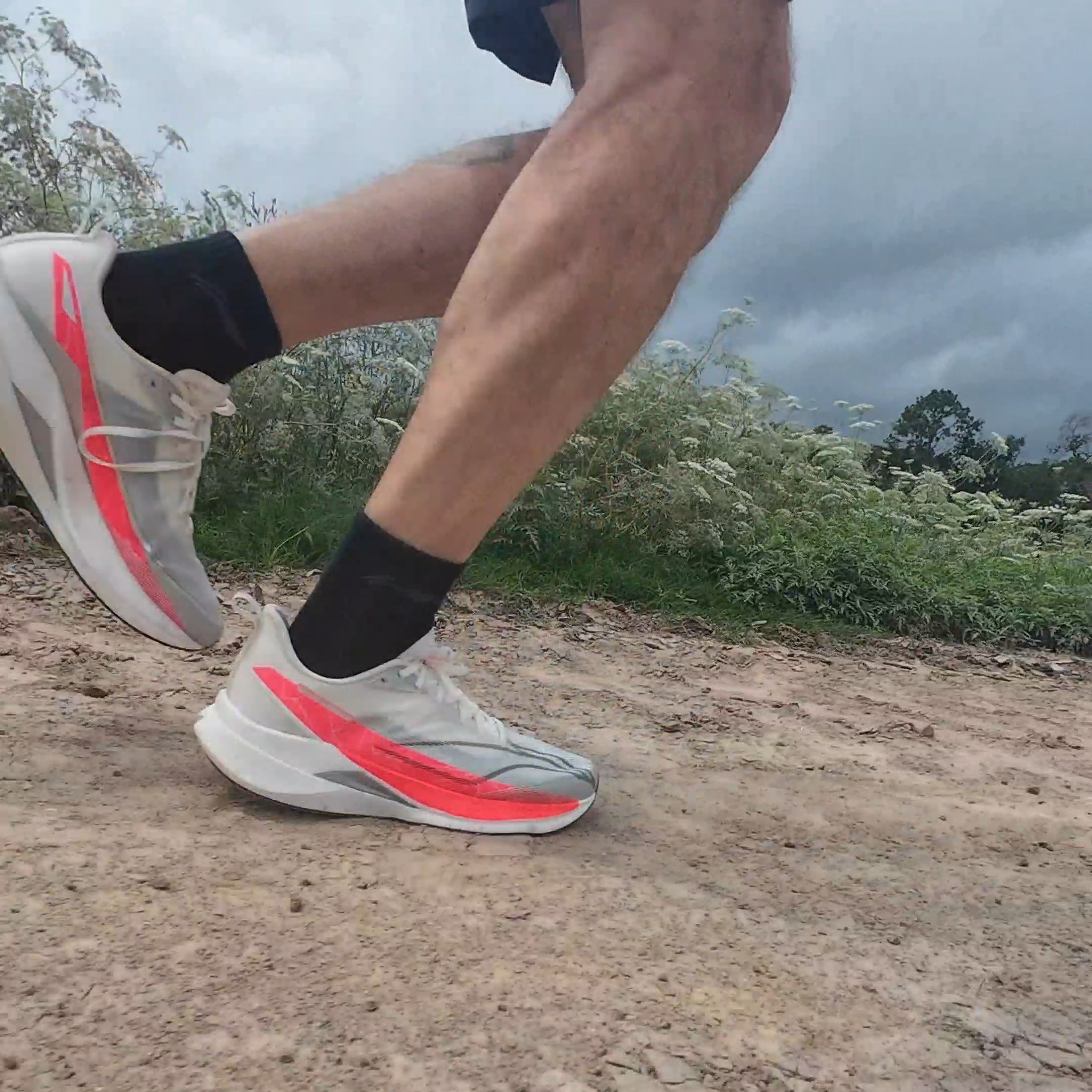 Li Ning Red Hare Pro 9 Review