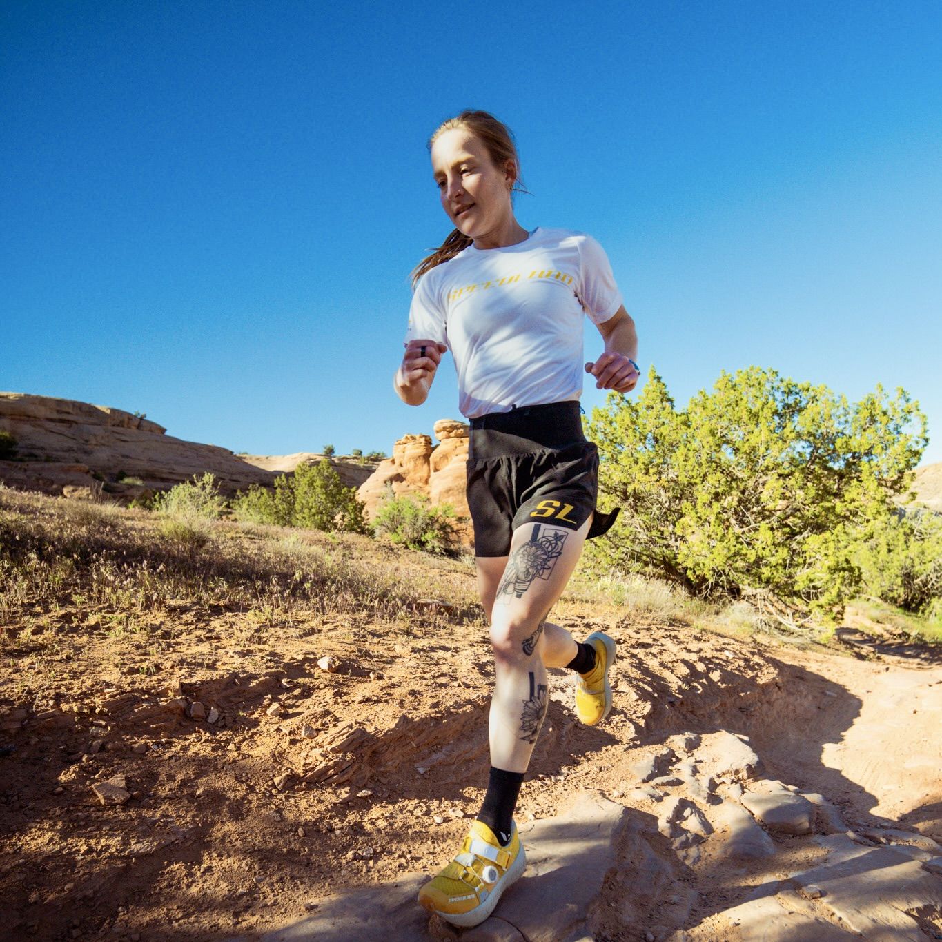 Terignota Sendero Shorts