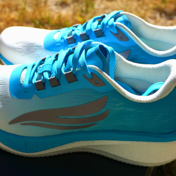 Image of Other Swift Running Horus